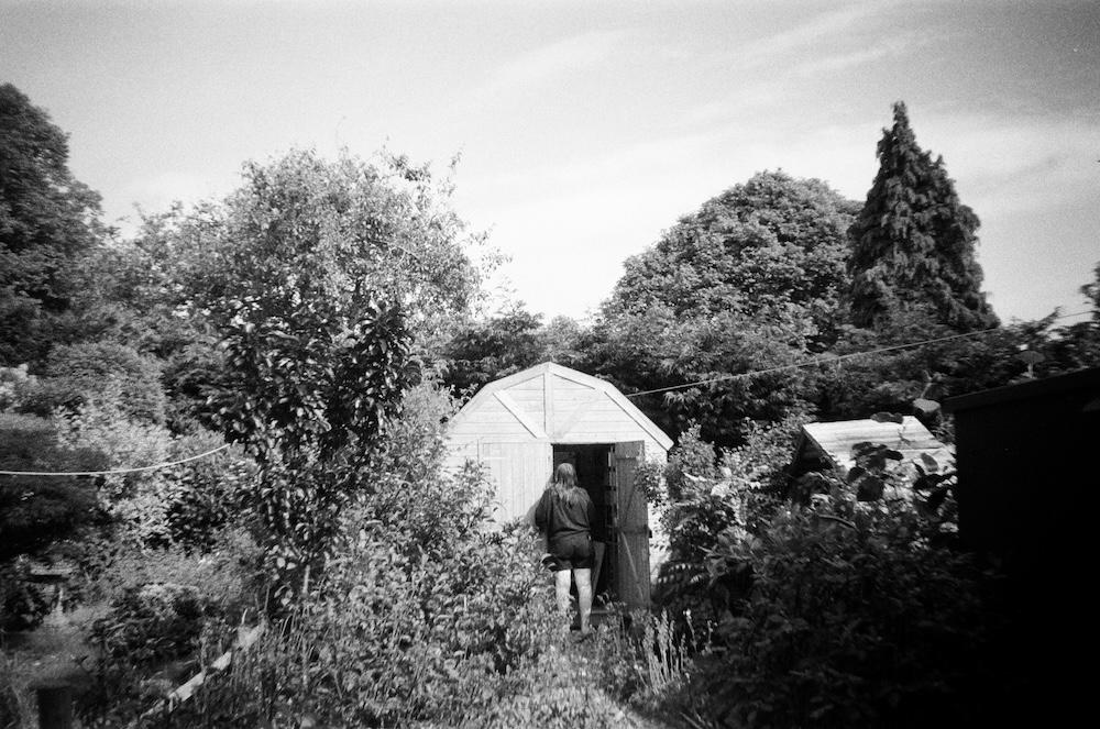 bella peaks into a shed