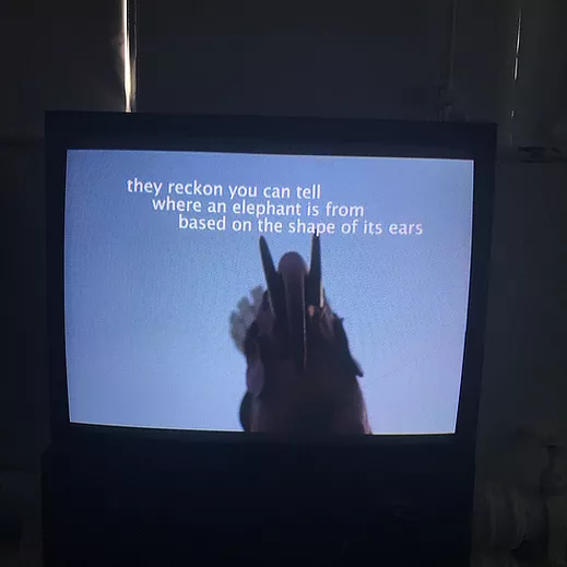 a tv screen of a sky and an elephant from below has text overlaid that says &lsquo;they reckon you can tell where an elephant is from based on the shape of its ears&rsquo;