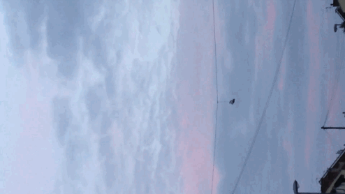 a sideways shot of a shoe twirling as it hangs from a cable against a blue pink sky