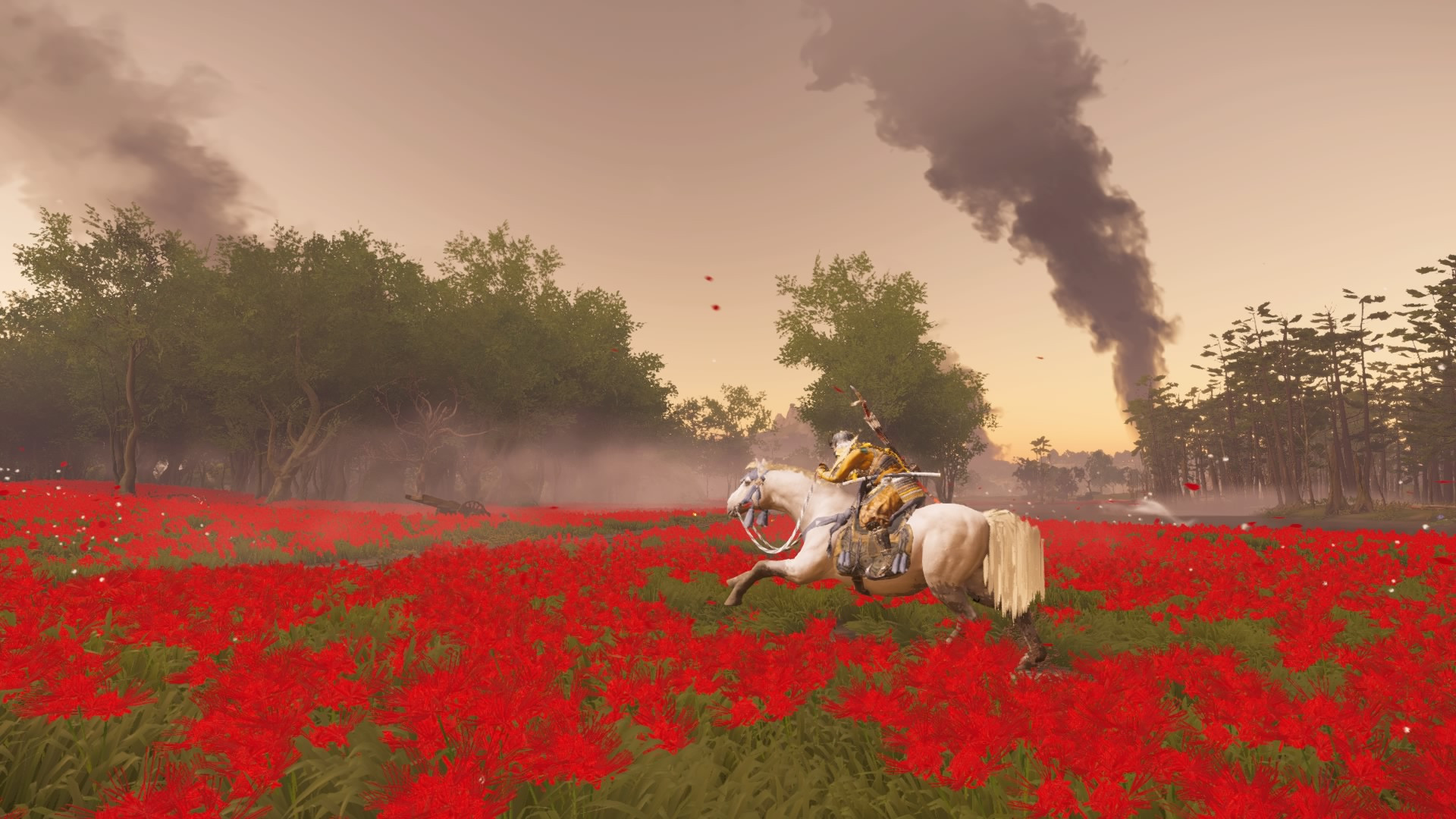 Jin rides a white horse as it gallops through a field full of red flowers, and there is smoke burning in a huge plume up into the sky behind him