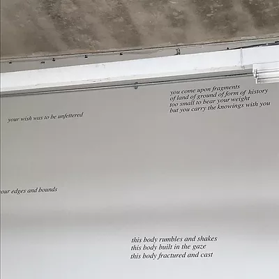 italic writing on the wall says this body rumbles and shakes, this body built in the gaze, this body fractured and cast