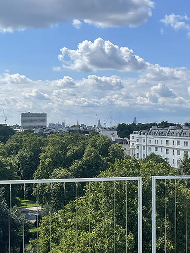 the railings are seen overlaid on the trees below a sunny but cloudy sky