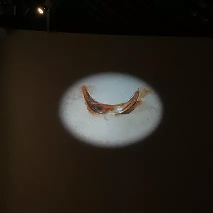 a spotlight projection shows a tiny crescent rusty shape