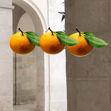 three oranges with a big green leaf on the stem repeated in an edit over an archway and a wall in the background