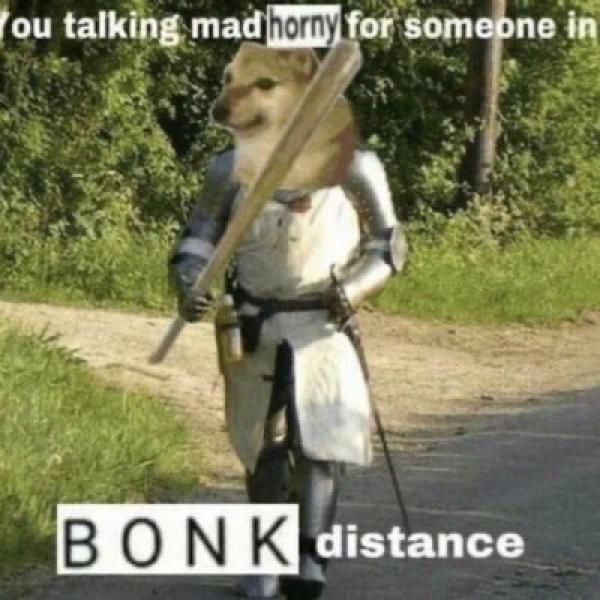 /images/bonk.JPG