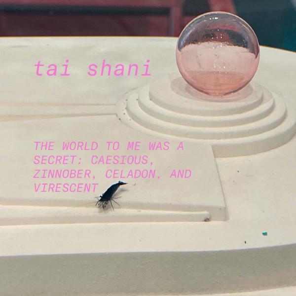 /images/cosmichouseweb.jpg